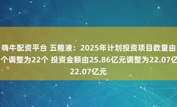 嗨牛配资平台 五粮液:2025年计划投资项目数量由19个调整为22个 投资金额由25.86亿元调整为22.07亿元