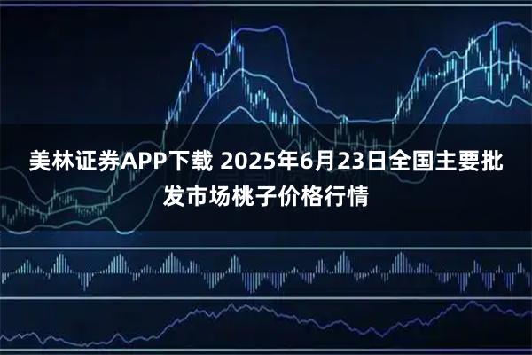 美林证券APP下载 2025年6月23日全国主要批发市场桃子价格行情