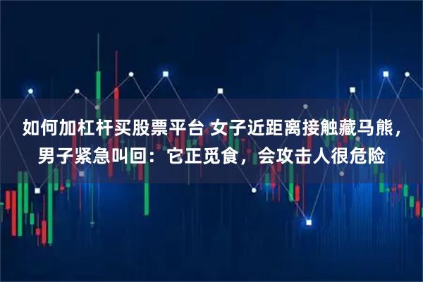 如何加杠杆买股票平台 女子近距离接触藏马熊，男子紧急叫回：它正觅食，会攻击人很危险