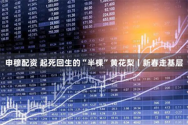 申穆配资 起死回生的“半棵”黄花梨丨新春走基层